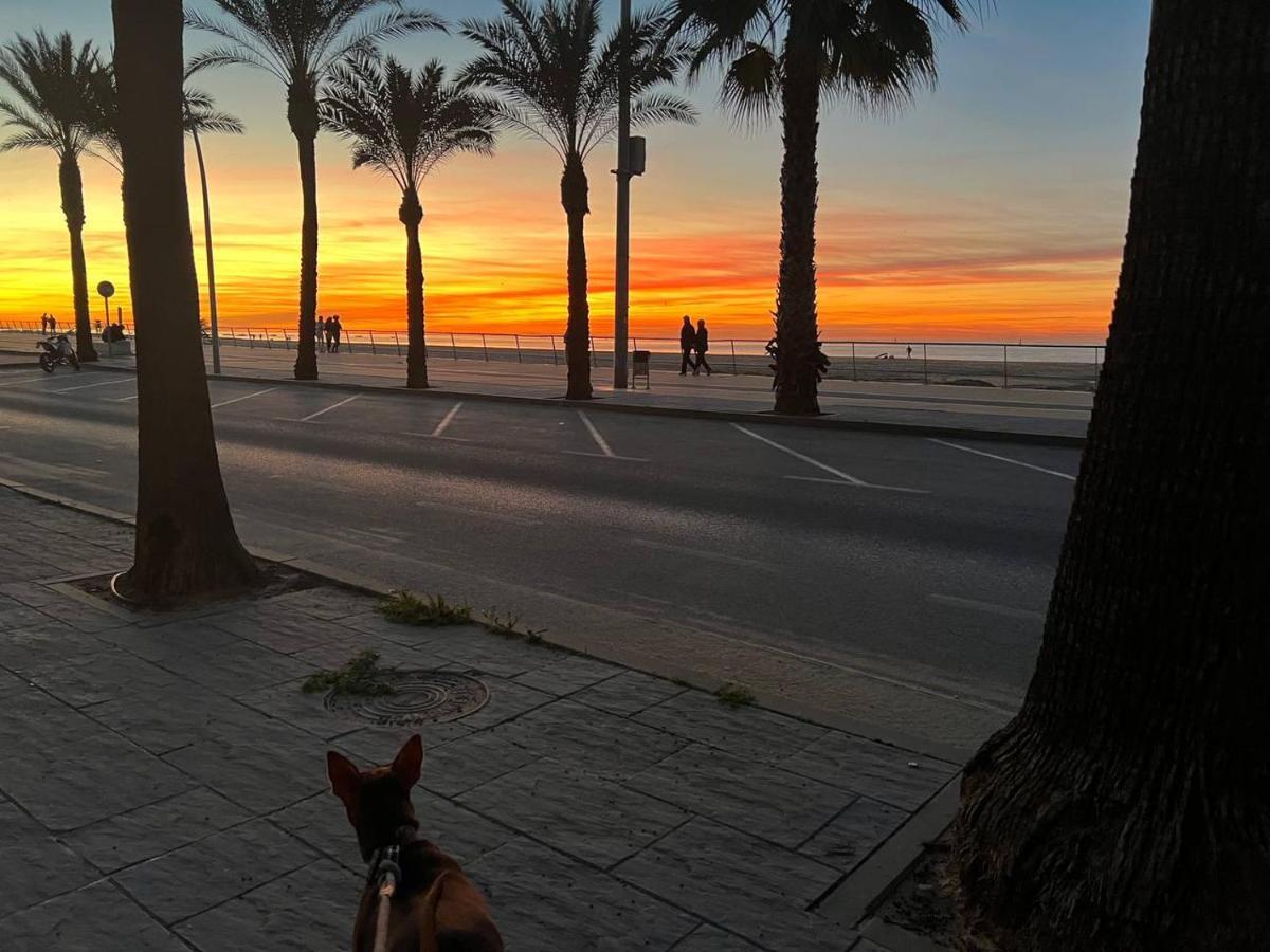 Duplex Junto A La Playa Βίλα Sanlúcar de Barrameda Εξωτερικό φωτογραφία